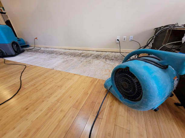 Professional Structural Drying technician working in Rockwood, MI